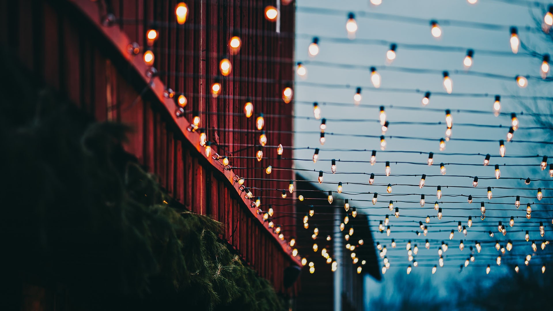 lights, Christmas Lights, Bokeh, Wires, Plants, Building Wallpaper