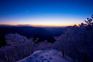 snow, Trees, Sunset, Nature, Landscape, Winter