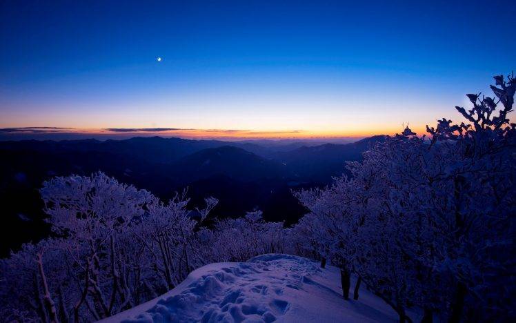 snow, Trees, Sunset, Nature, Landscape, Winter HD Wallpaper Desktop Background