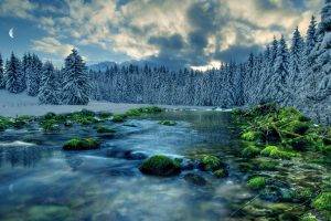 river, Nature, Landscape, Snow, Trees