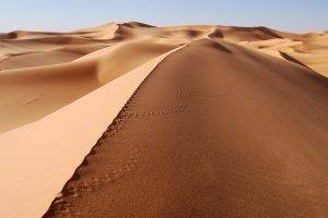 desert, Landscape, Dune, Sand, Footprints