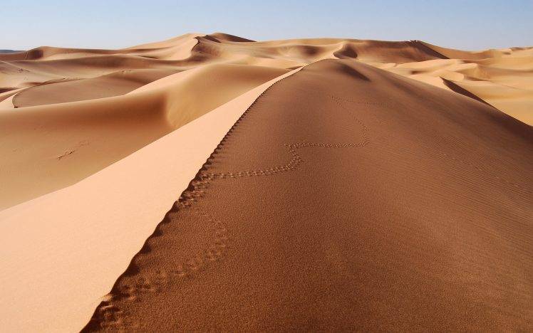 desert, Landscape, Dune, Sand, Footprints HD Wallpaper Desktop Background