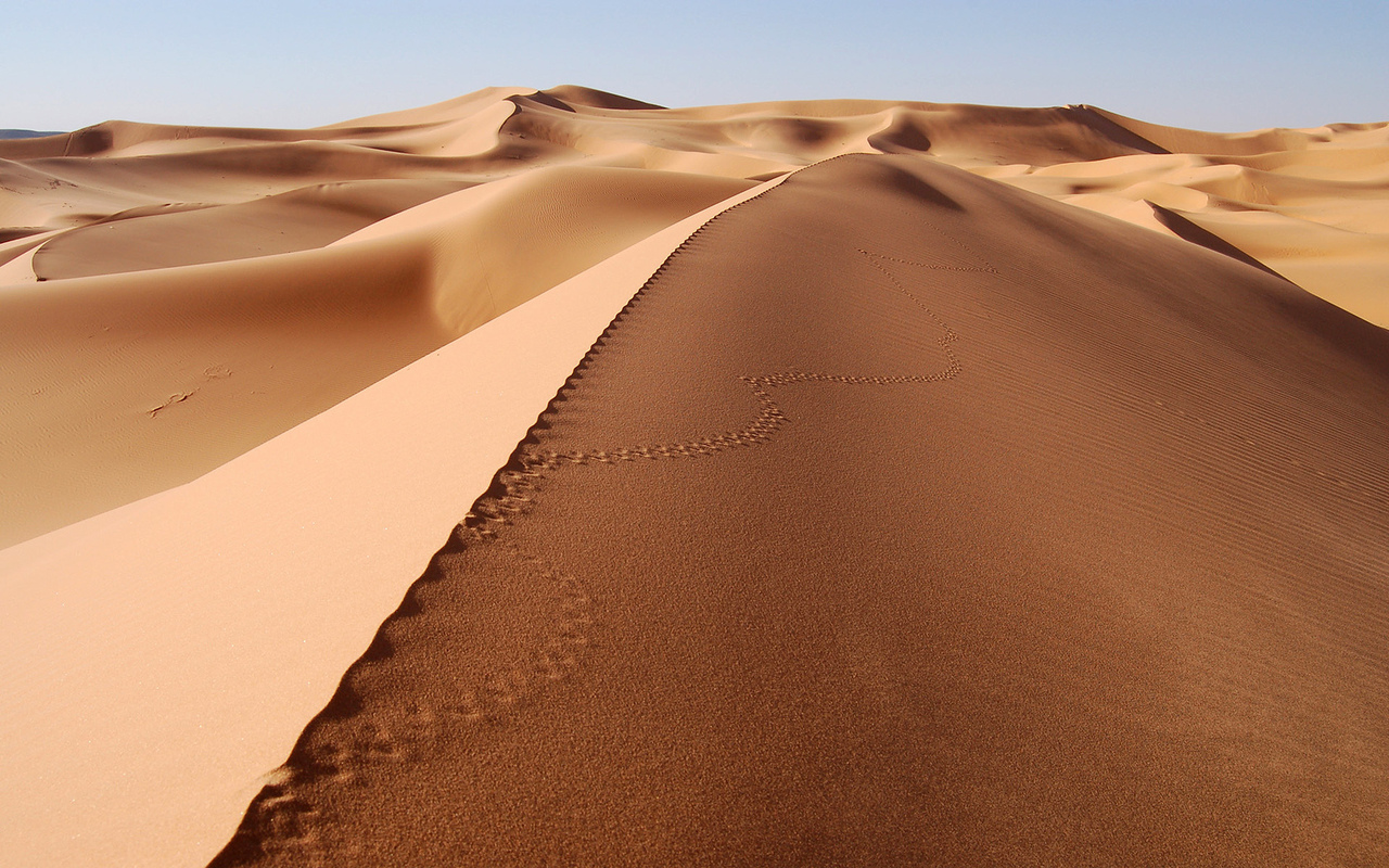 desert, Landscape, Dune, Sand, Footprints Wallpaper