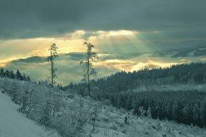 landscape, Snow, Mountain, Forest, Trees, Sun Rays