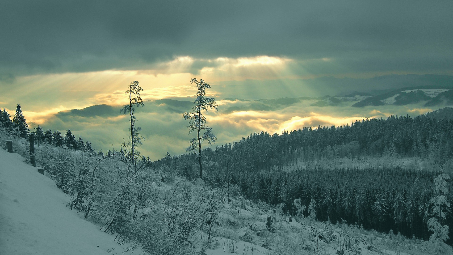 landscape, Snow, Mountain, Forest, Trees, Sun Rays Wallpaper