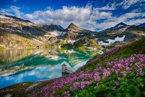 landscape, Mountain, Lake, Flowers, Reflection