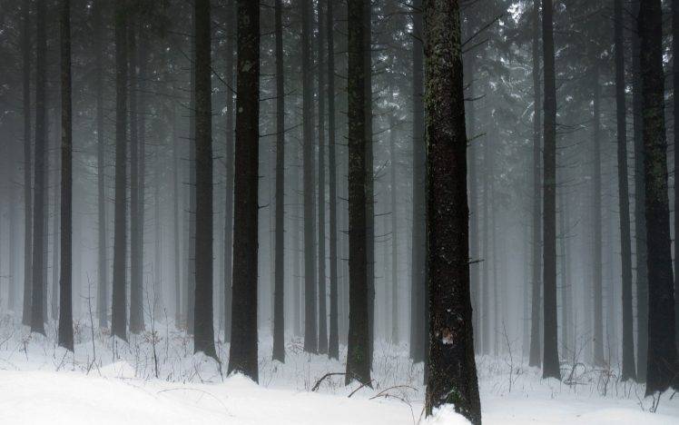landscape, Snow, Trees, Winter HD Wallpaper Desktop Background