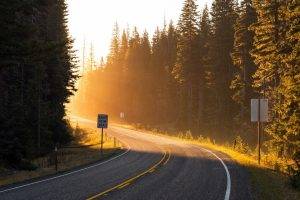 road, Sunset, Landscape, Sunlight, Trees, Traffic Signs