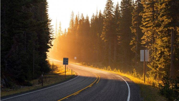road, Sunset, Landscape, Sunlight, Trees, Traffic Signs HD Wallpaper Desktop Background