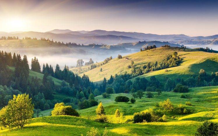 mist, Hill, Trees, Sunrise, Nature, Landscape HD Wallpaper Desktop Background