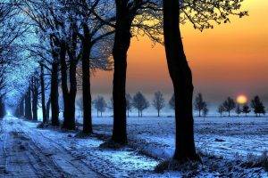 sunset, Trees, Snow, Landscape, Road