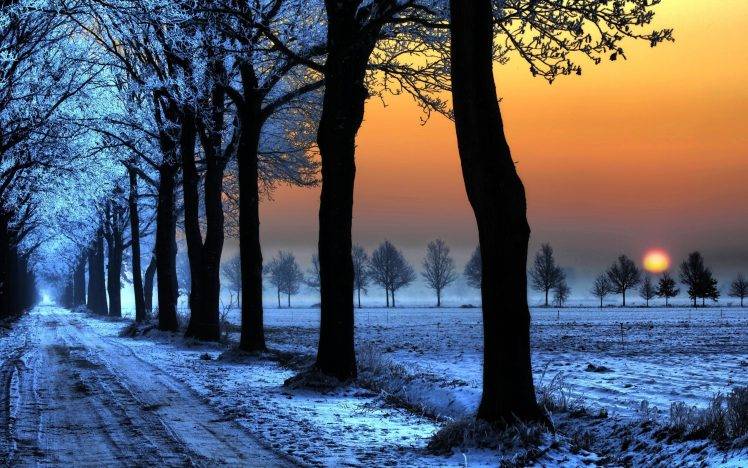 sunset, Trees, Snow, Landscape, Road HD Wallpaper Desktop Background