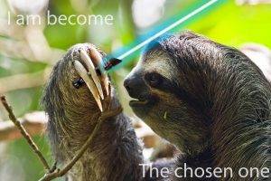 sloths, Star Wars, Memes, Humor