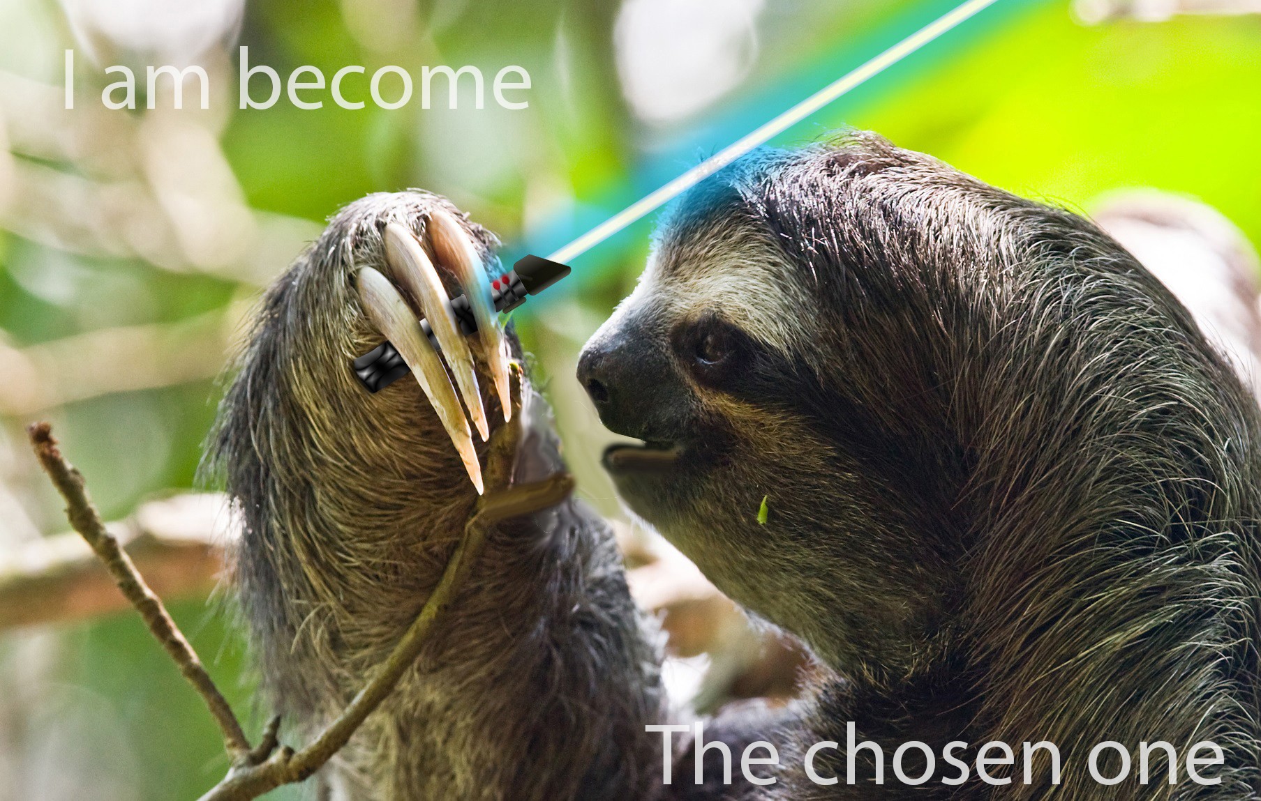 sloths, Star Wars, Memes, Humor Wallpaper