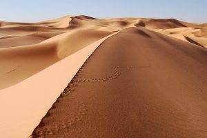 desert, Footprints, Dune, Sand, Landscape
