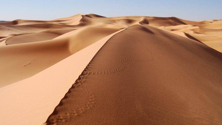 desert, Footprints, Dune, Sand, Landscape HD Wallpaper Desktop Background