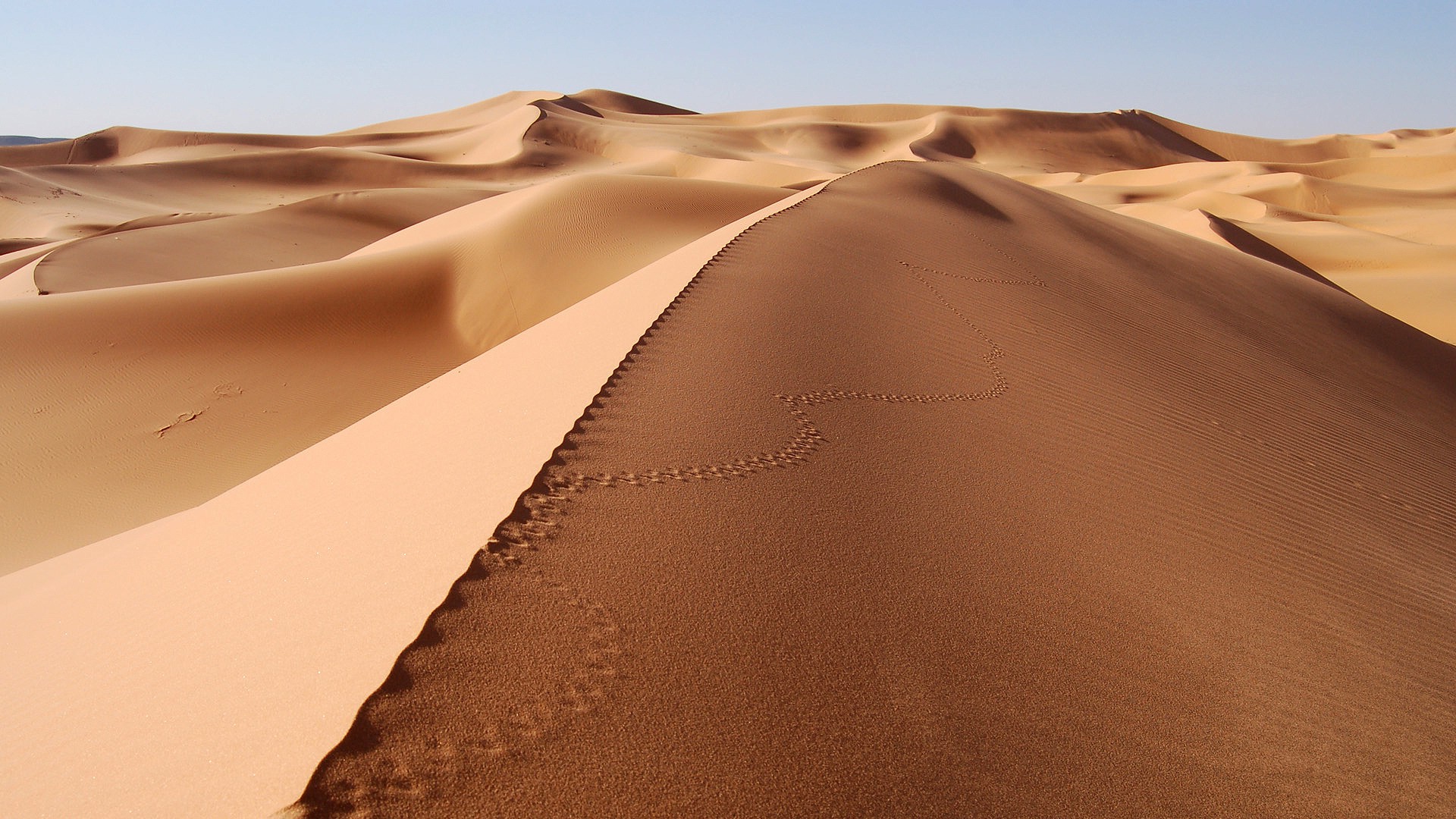 desert, Footprints, Dune, Sand, Landscape Wallpaper