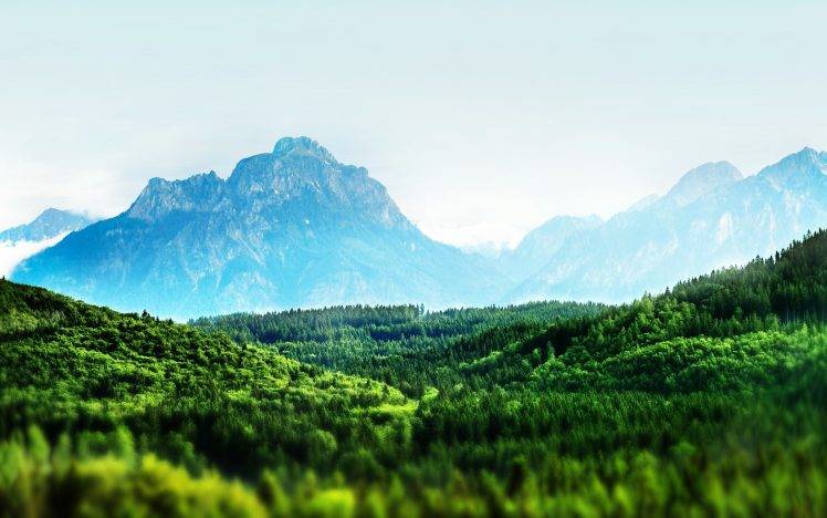 landscape, Nature, Tilt Shift, Mountain, Forest, Clear Sky HD Wallpaper Desktop Background