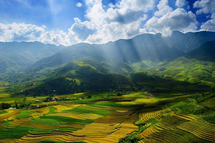 landscape, Nature, Terraced Field, Valley, Hill, Sun Rays HD Wallpaper Desktop Background