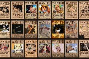 Wanted, One Piece, Anime