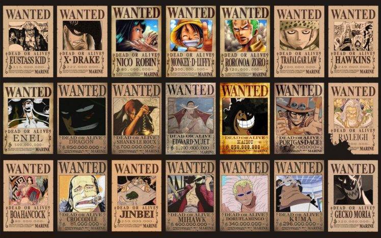 Wanted, One Piece, Anime HD Wallpaper Desktop Background