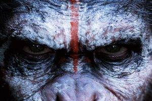 Dawn Of The Planet Of The Apes, Planet Of The Apes, Apes, Movies