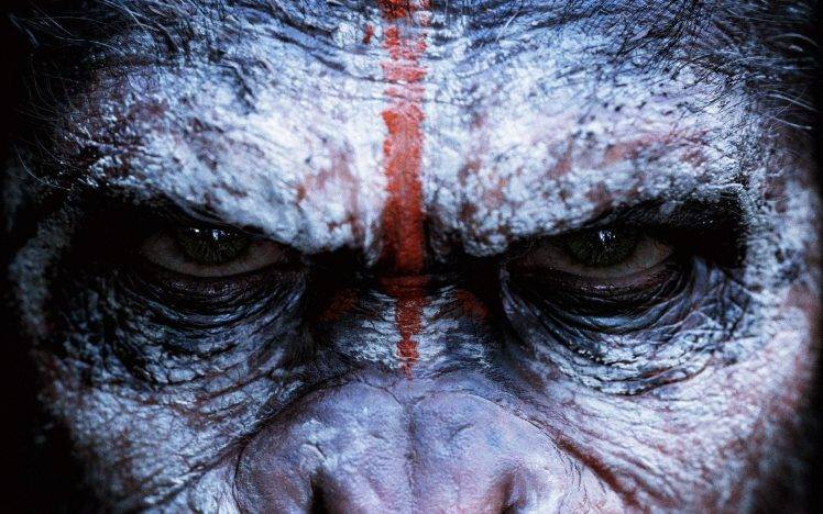 Dawn Of The Planet Of The Apes, Planet Of The Apes, Apes, Movies HD Wallpaper Desktop Background