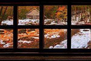nature, Forest, Window, Fall, Snow, Winter