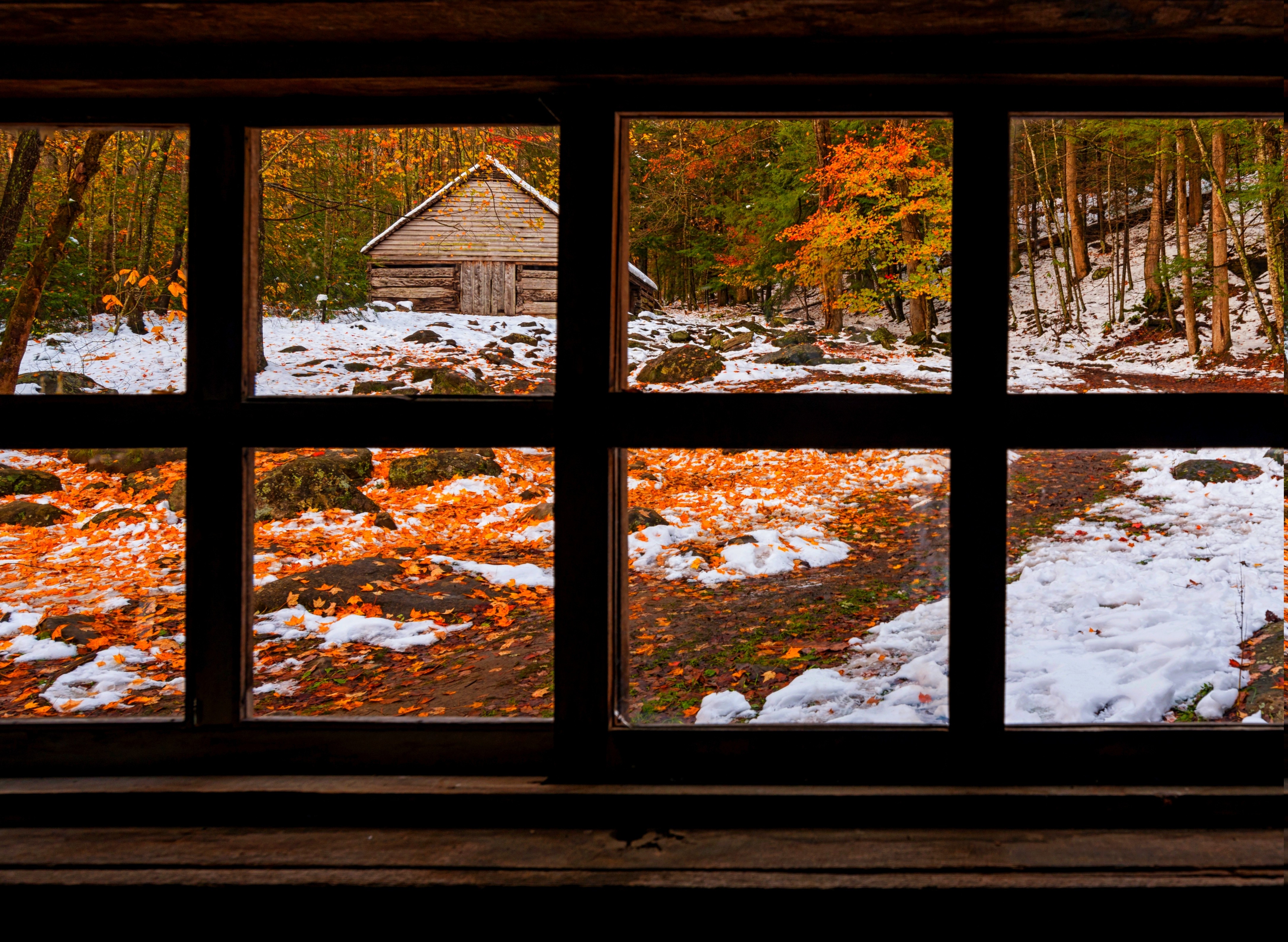 nature, Forest, Window, Fall, Snow, Winter Wallpaper