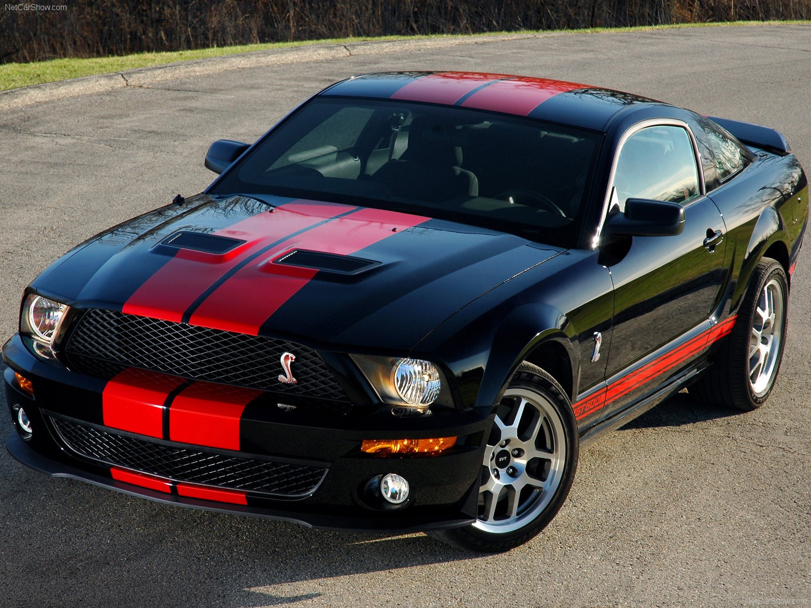 car, Ford, Shelby Wallpaper