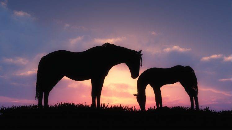 horse, Animals, Baby Animals, Sunset, Silhouette HD Wallpaper Desktop Background