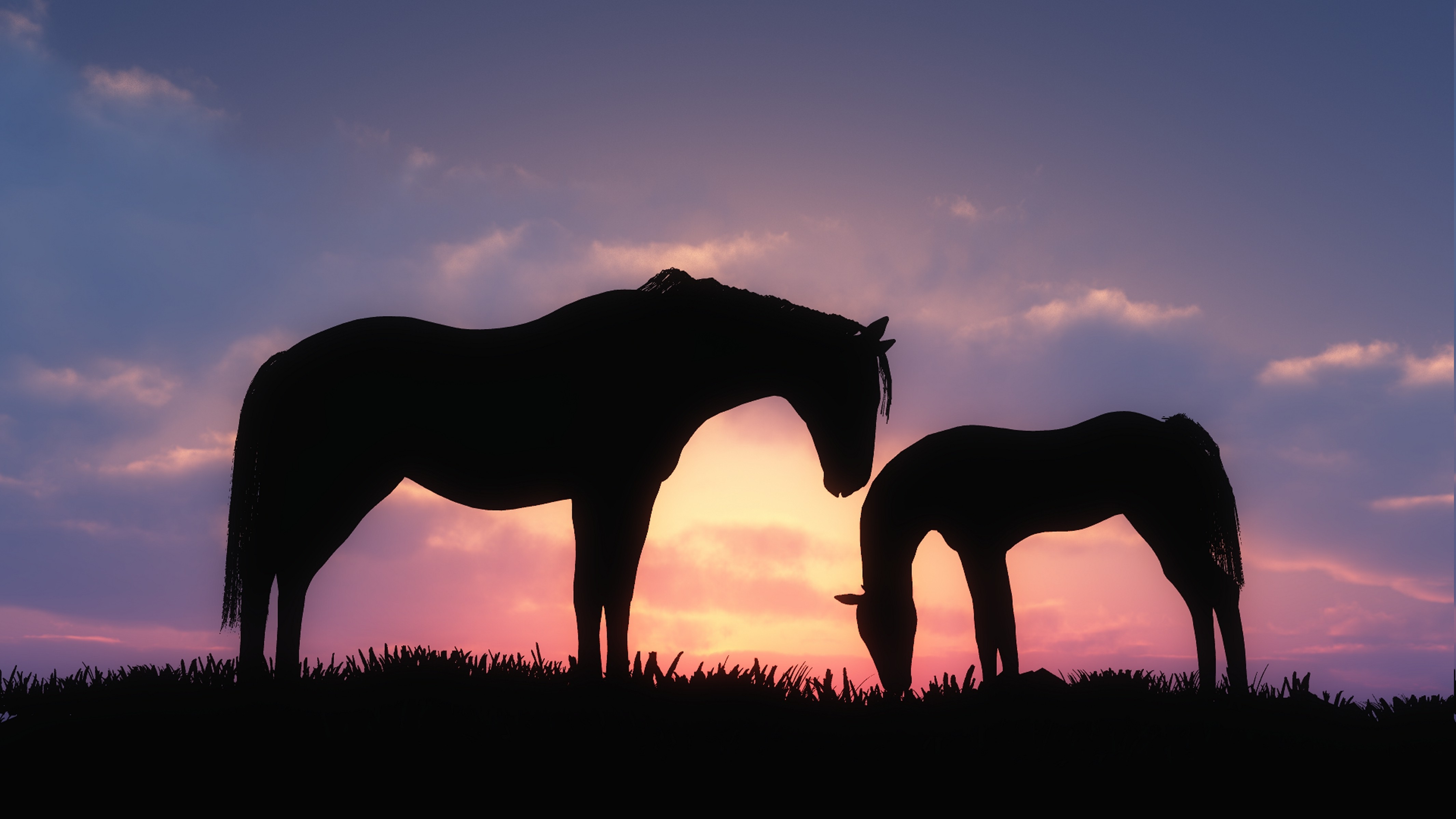 horse, Animals, Baby Animals, Sunset, Silhouette Wallpaper