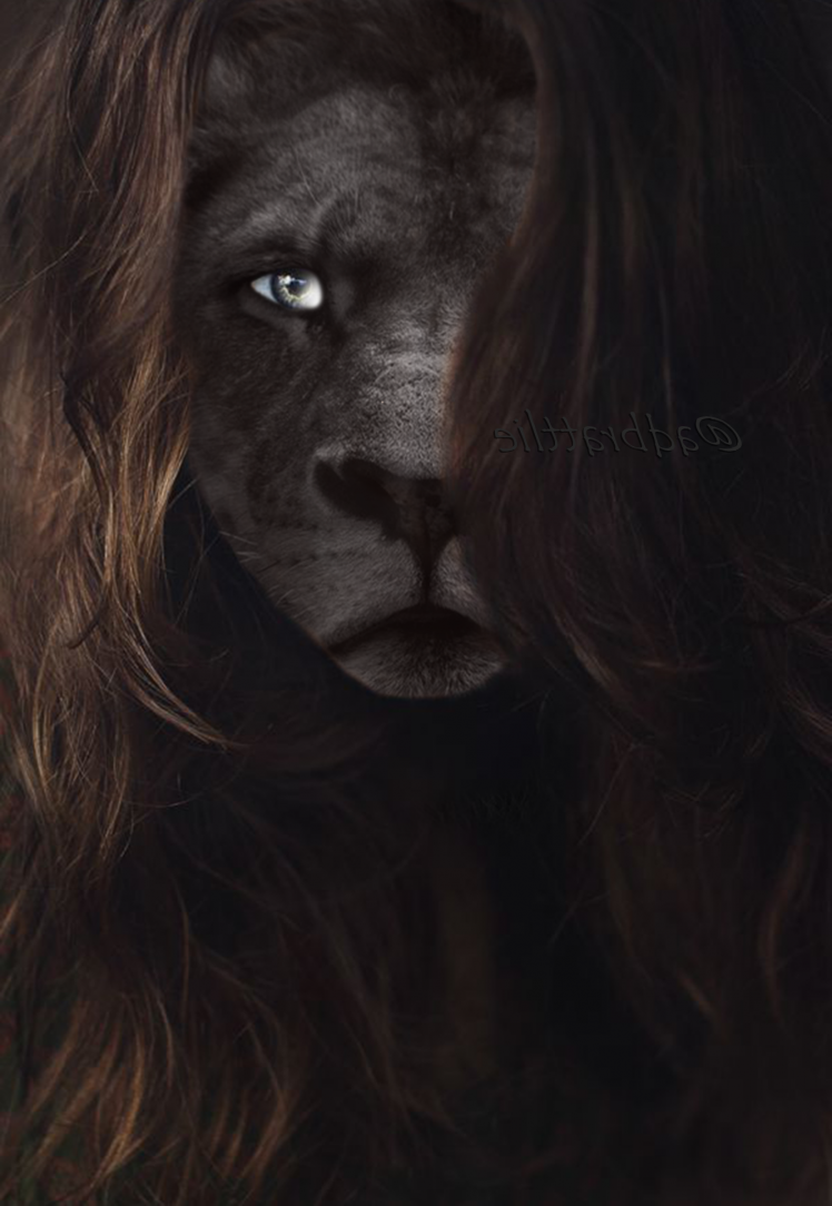 lion, Wavy Hair, Brunette, Blue Eyes, Animals, Full Metal Alchemist HD Wallpaper Desktop Background