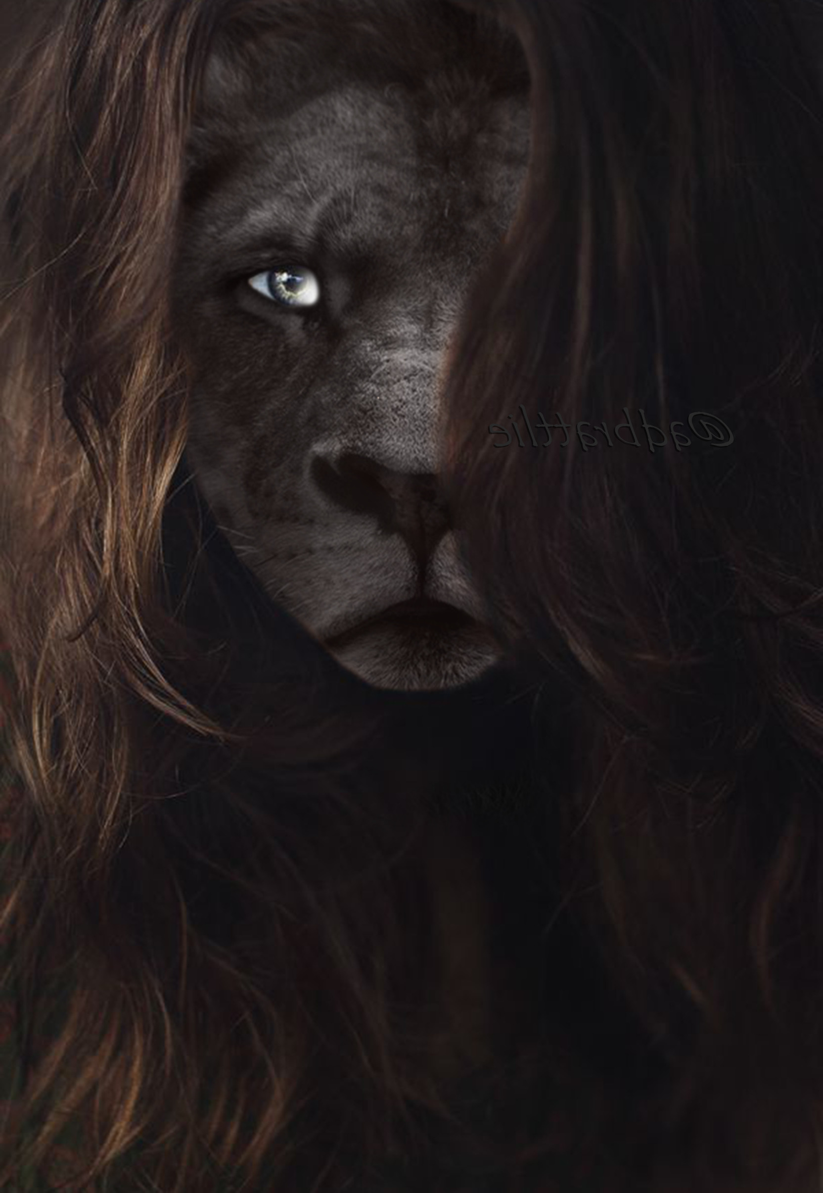 lion, Wavy Hair, Brunette, Blue Eyes, Animals, Full Metal Alchemist Wallpaper