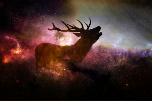deer, Animals, Stars