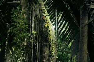 Desktopography, Jungles, Plants, Trees, Palm Trees, Nature, Digital Art