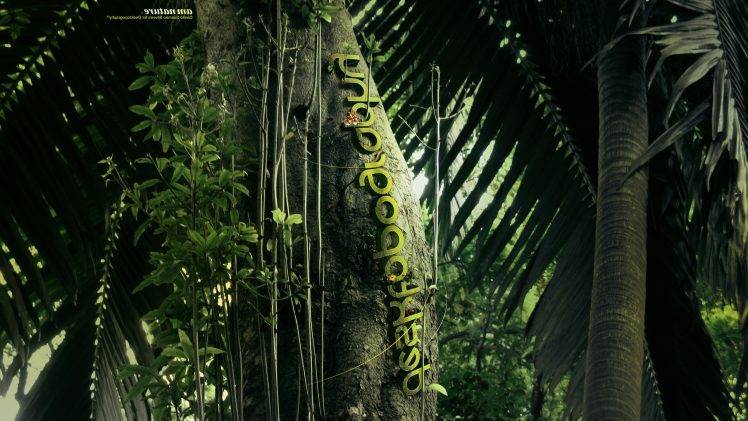Desktopography, Jungles, Plants, Trees, Palm Trees, Nature, Digital Art HD Wallpaper Desktop Background