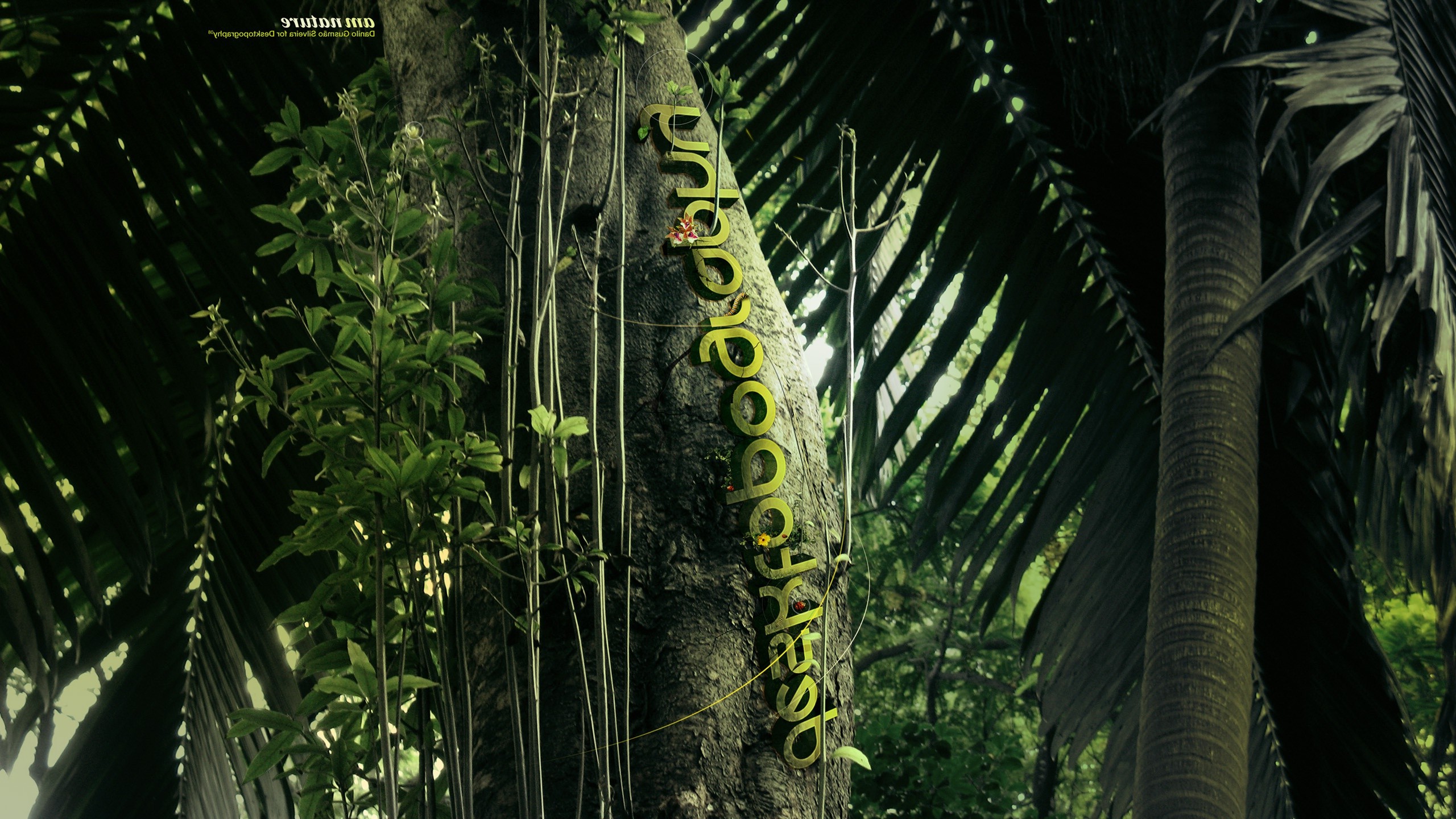 Desktopography, Jungles, Plants, Trees, Palm Trees, Nature, Digital Art Wallpaper