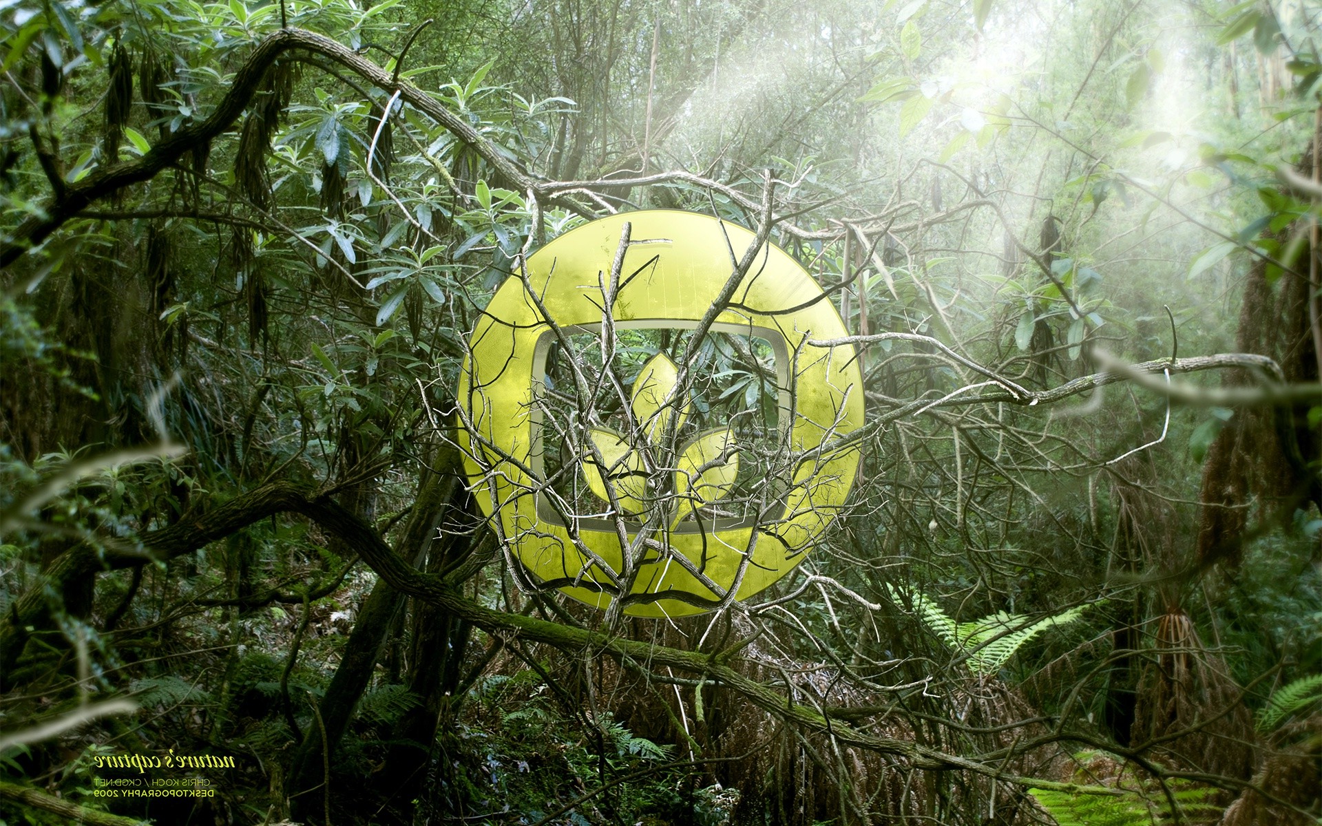 Desktopography, Undergrowth, Jungles, Nature, Logo, Digital Art Wallpaper