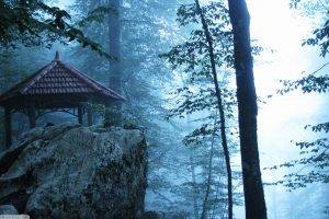 nature, Pagoda