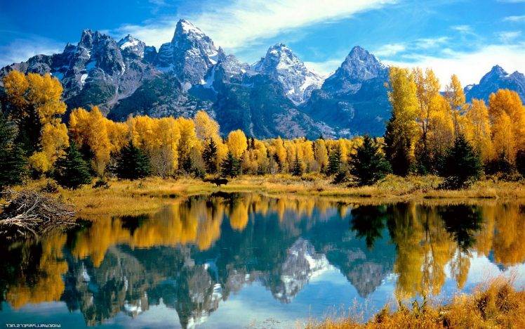 mountain, Lake, Reflection, Trees, Fall, Canada HD Wallpaper Desktop Background