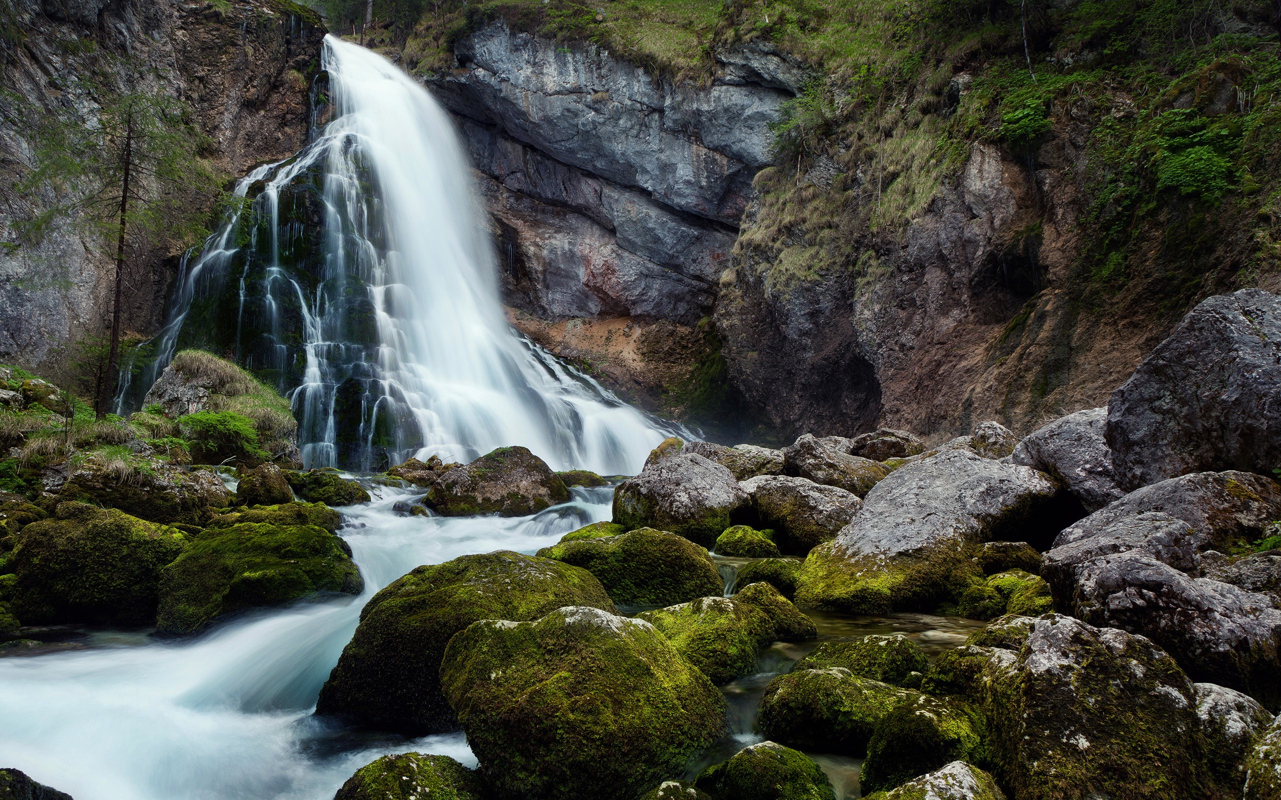 nature, Landscape Wallpaper