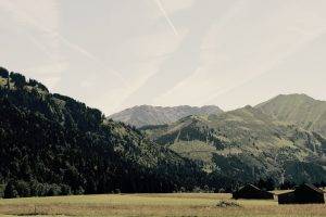 mountain, Trees, Austria, Sky, Green, Nature, Landscape