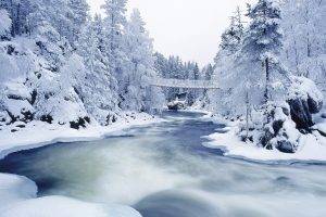 snow, Forest, River, Nature