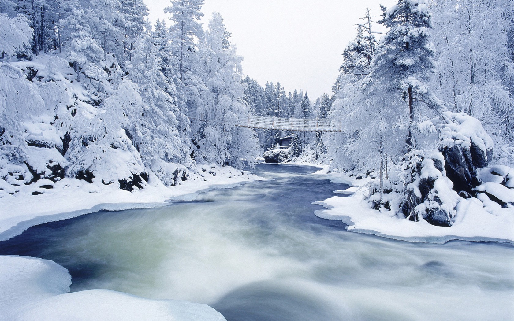 snow, Forest, River, Nature Wallpaper