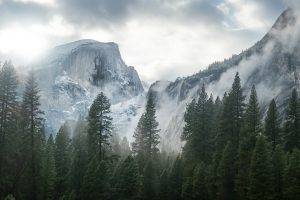 Yosemite National Park, Nature, Mountain, Trees, Mist