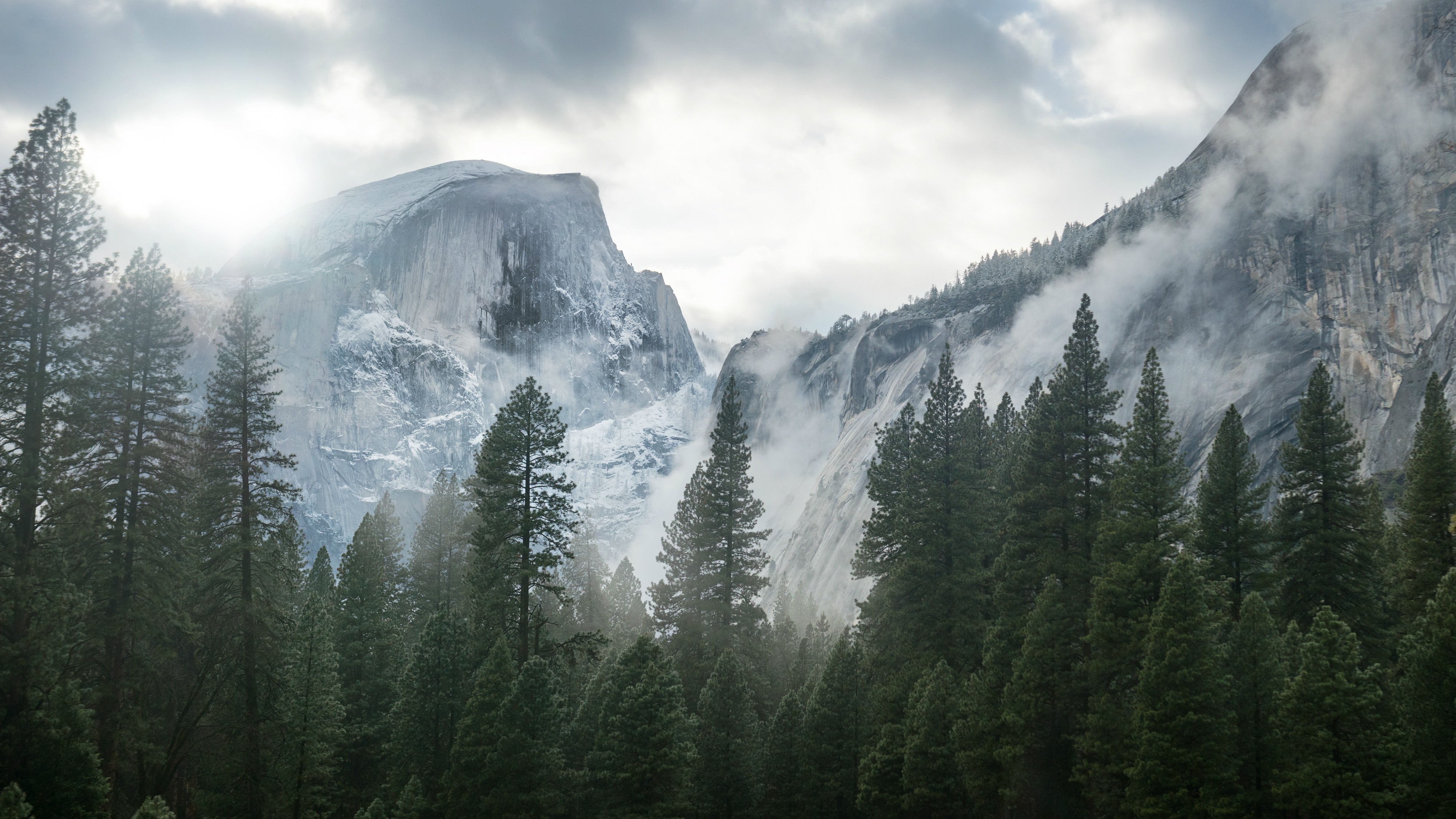 Yosemite National Park, Nature, Mountain, Trees, Mist Wallpaper