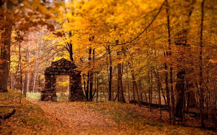gold, Forest, Leaves, Lights, Trees, Nature, Ruin, Path, Yellow, Stones, Gates HD Wallpaper Desktop Background