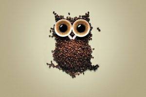 owl, Coffee, Coffee Beans, Creativity, Birds, Animals, Simple Background