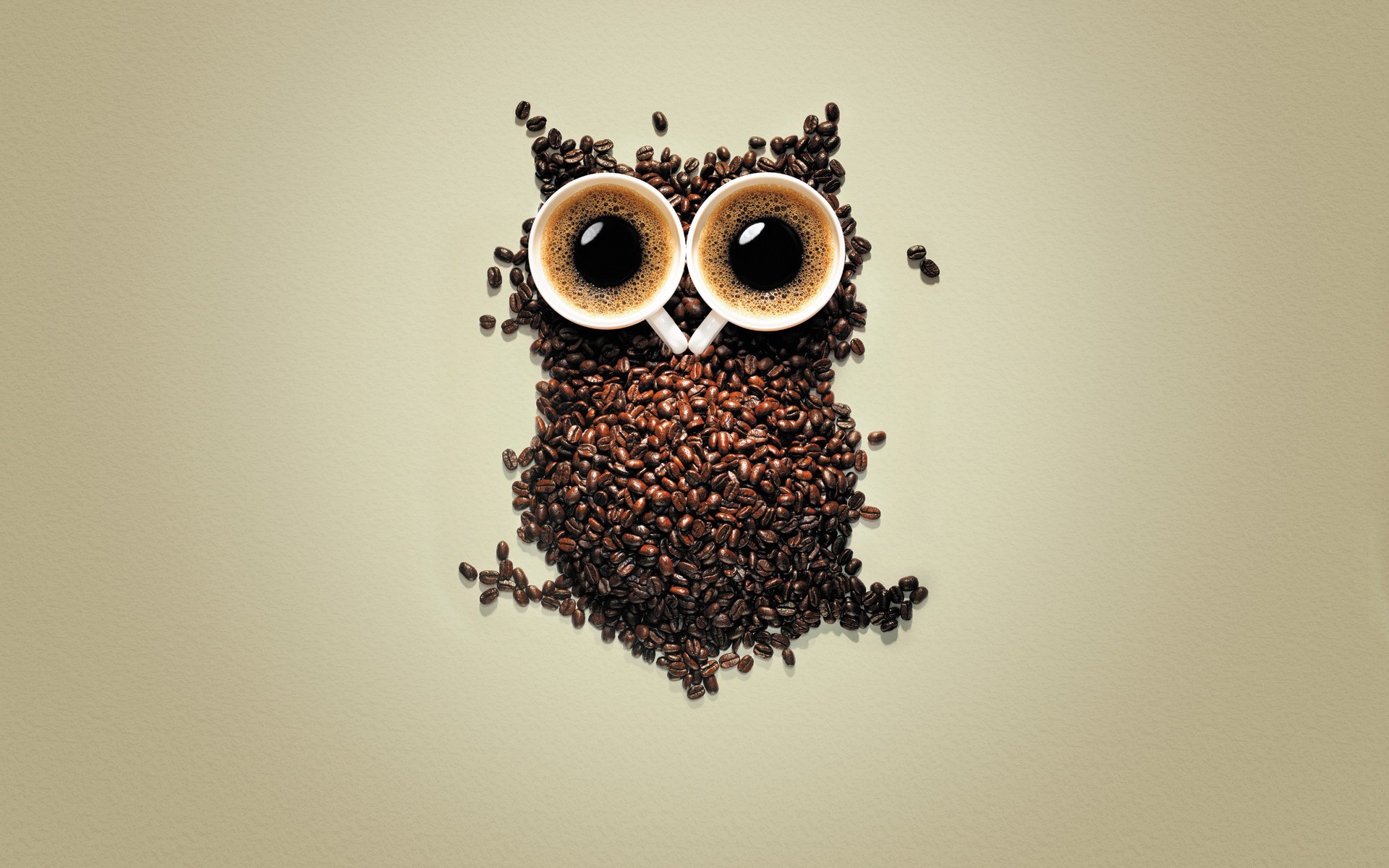 owl, Coffee, Coffee Beans, Creativity, Birds, Animals, Simple Background Wallpaper